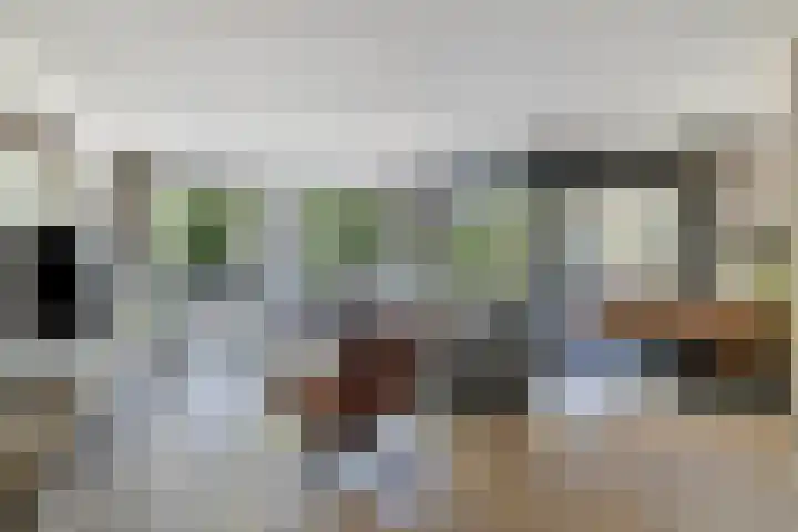 Oostlaan 150 Pijnacker thumbnail 40