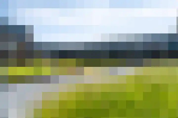 Oostlaan 150 Pijnacker thumbnail 5