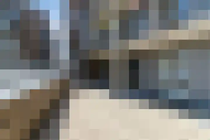 Oostlaan 150 Pijnacker thumbnail 6