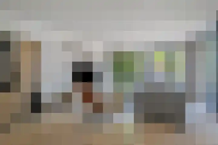 Oostlaan 150 Pijnacker thumbnail 9