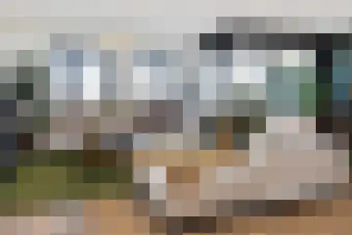 Oostlaan 175 Pijnacker thumbnail 10