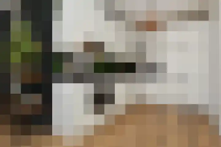 Oostlaan 175 Pijnacker thumbnail 12