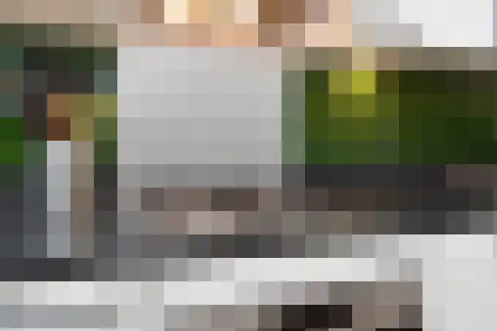 Oostlaan 175 Pijnacker thumbnail 13