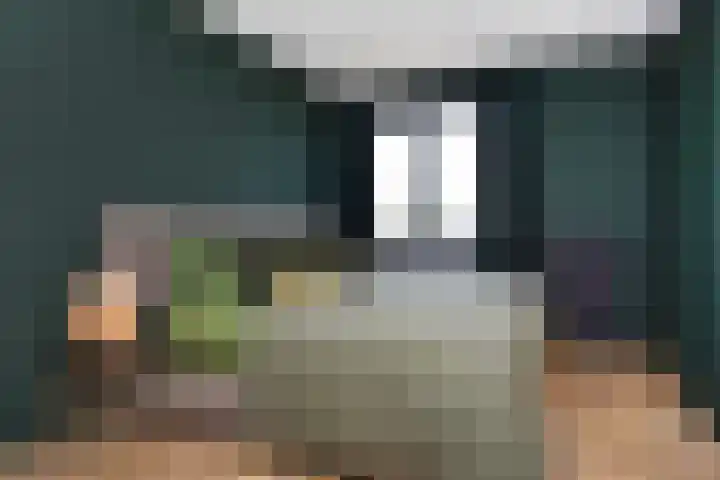 Oostlaan 175 Pijnacker thumbnail 16