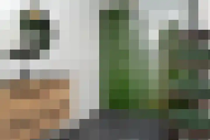 Oostlaan 175 Pijnacker thumbnail 19