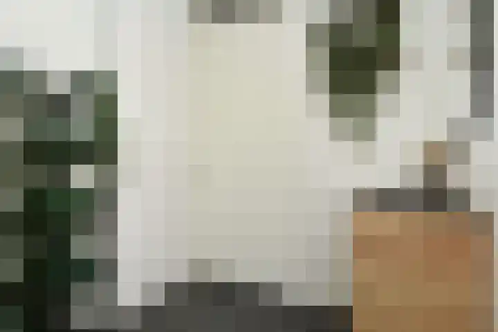 Oostlaan 175 Pijnacker thumbnail 20