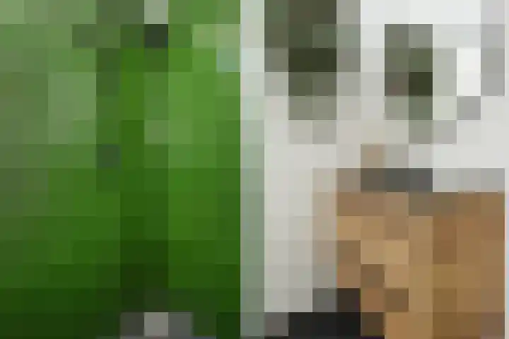 Oostlaan 175 Pijnacker thumbnail 21