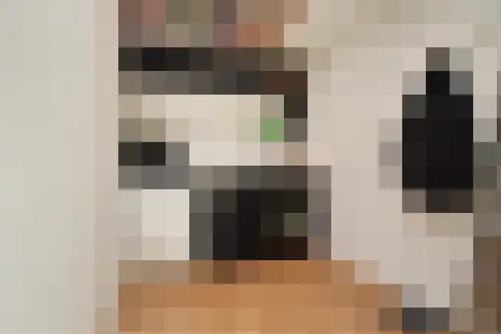 Oostlaan 175 Pijnacker thumbnail 23
