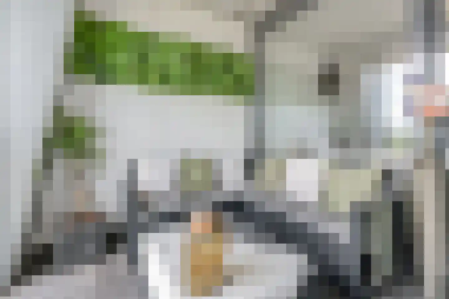 Oostlaan 177 Pijnacker thumbnail 27