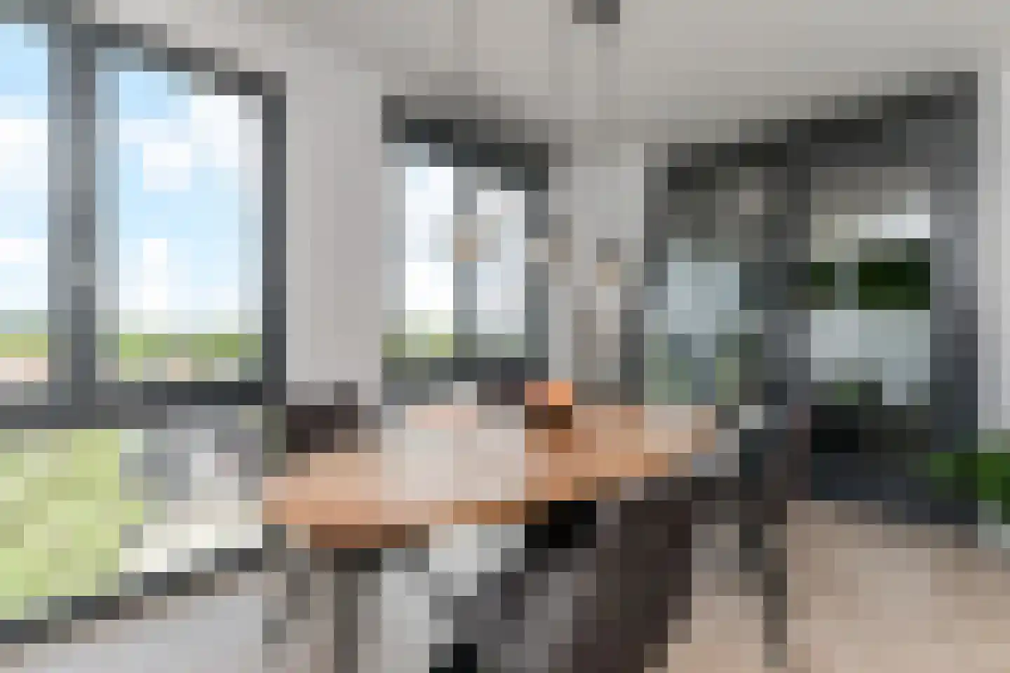 Oostlaan 177 Pijnacker thumbnail 4
