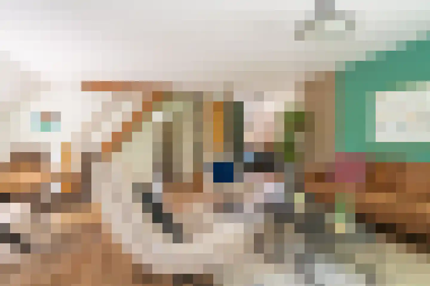 Oostlaan 2 Nieuw Beerta thumbnail 19