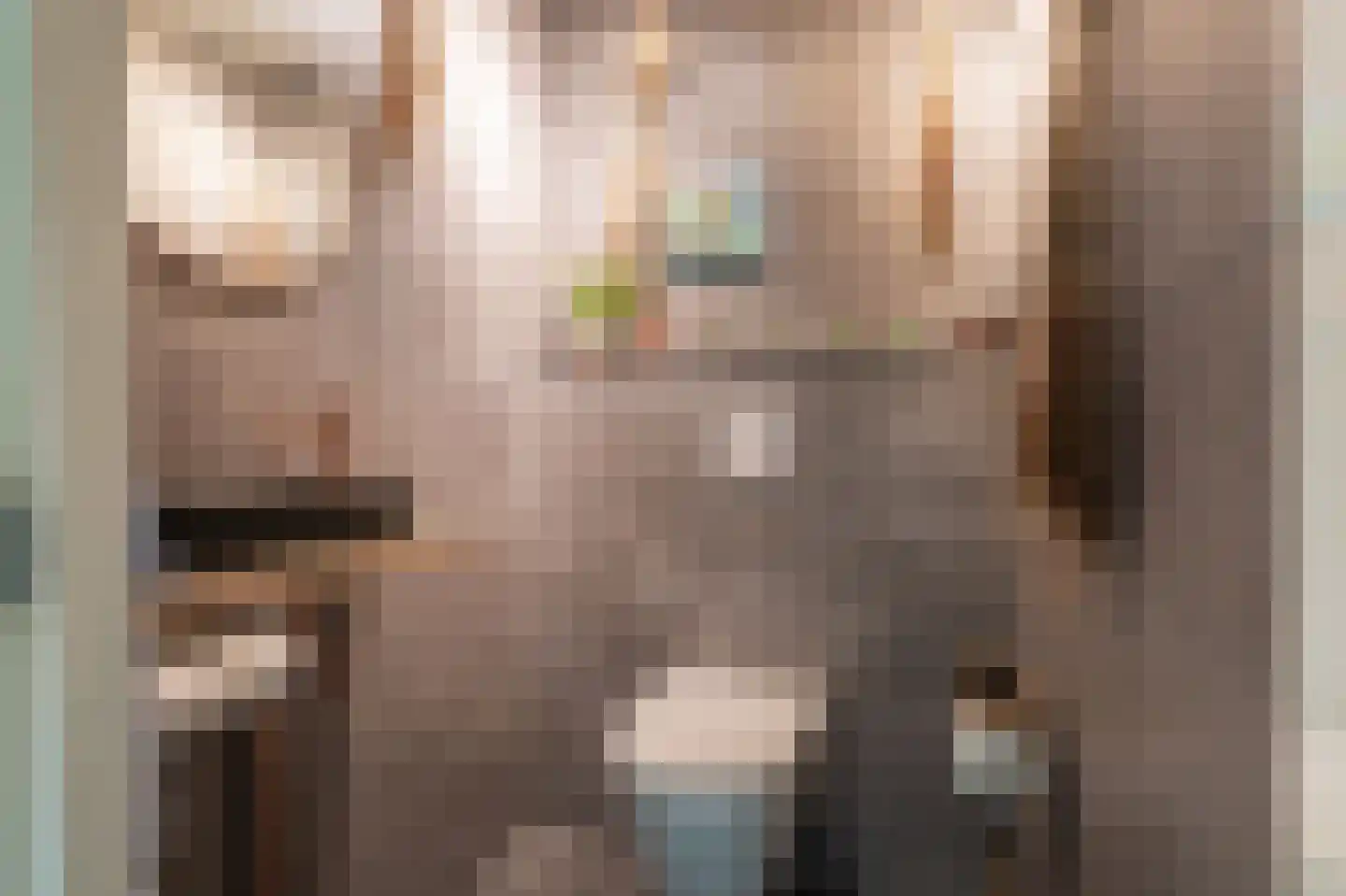 Oostlaan 2 Nieuw Beerta thumbnail 21