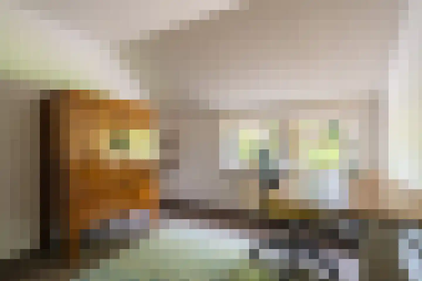 Oostlaan 2 Nieuw Beerta thumbnail 22