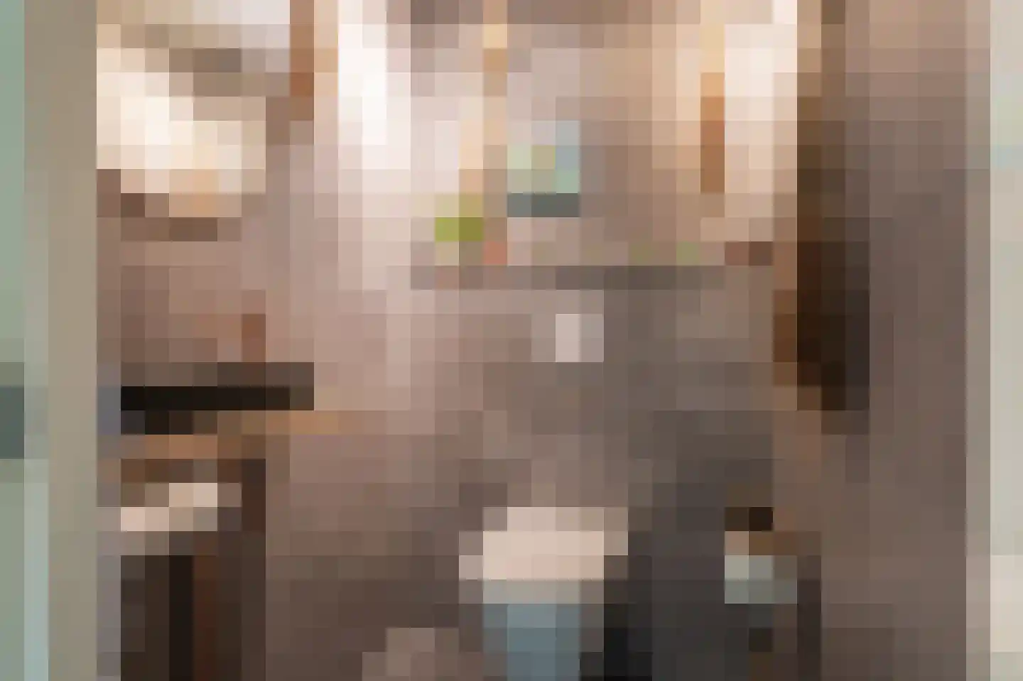 Oostlaan 2 Nieuw Beerta foto 3