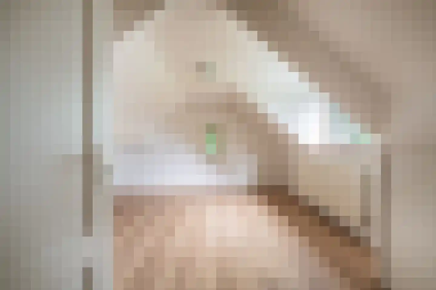 Oostlaan 2 Nieuw Beerta thumbnail 35