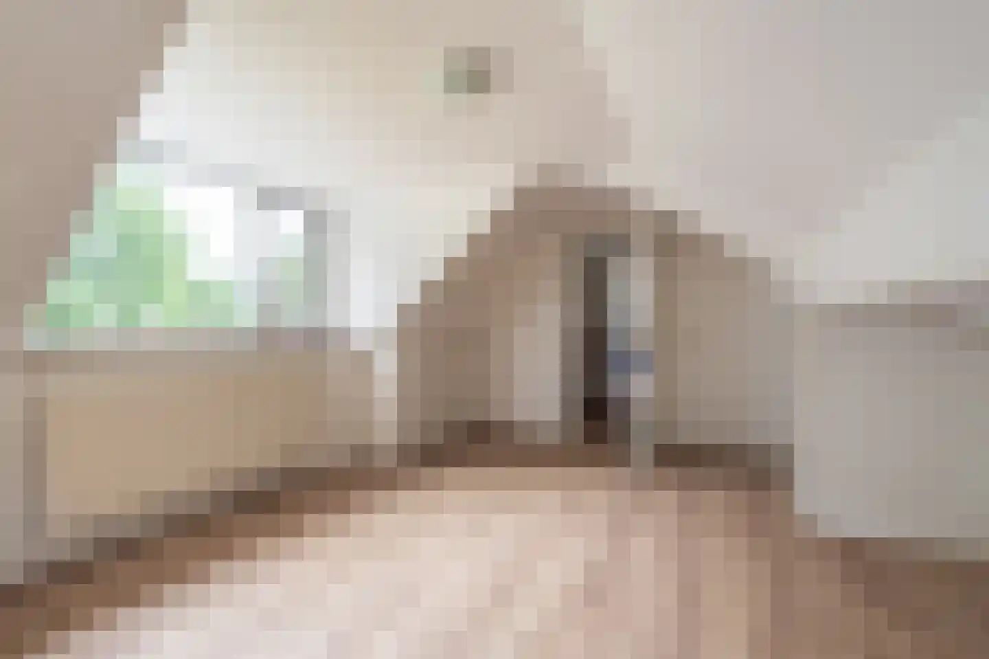 Oostlaan 2 Nieuw Beerta thumbnail 37