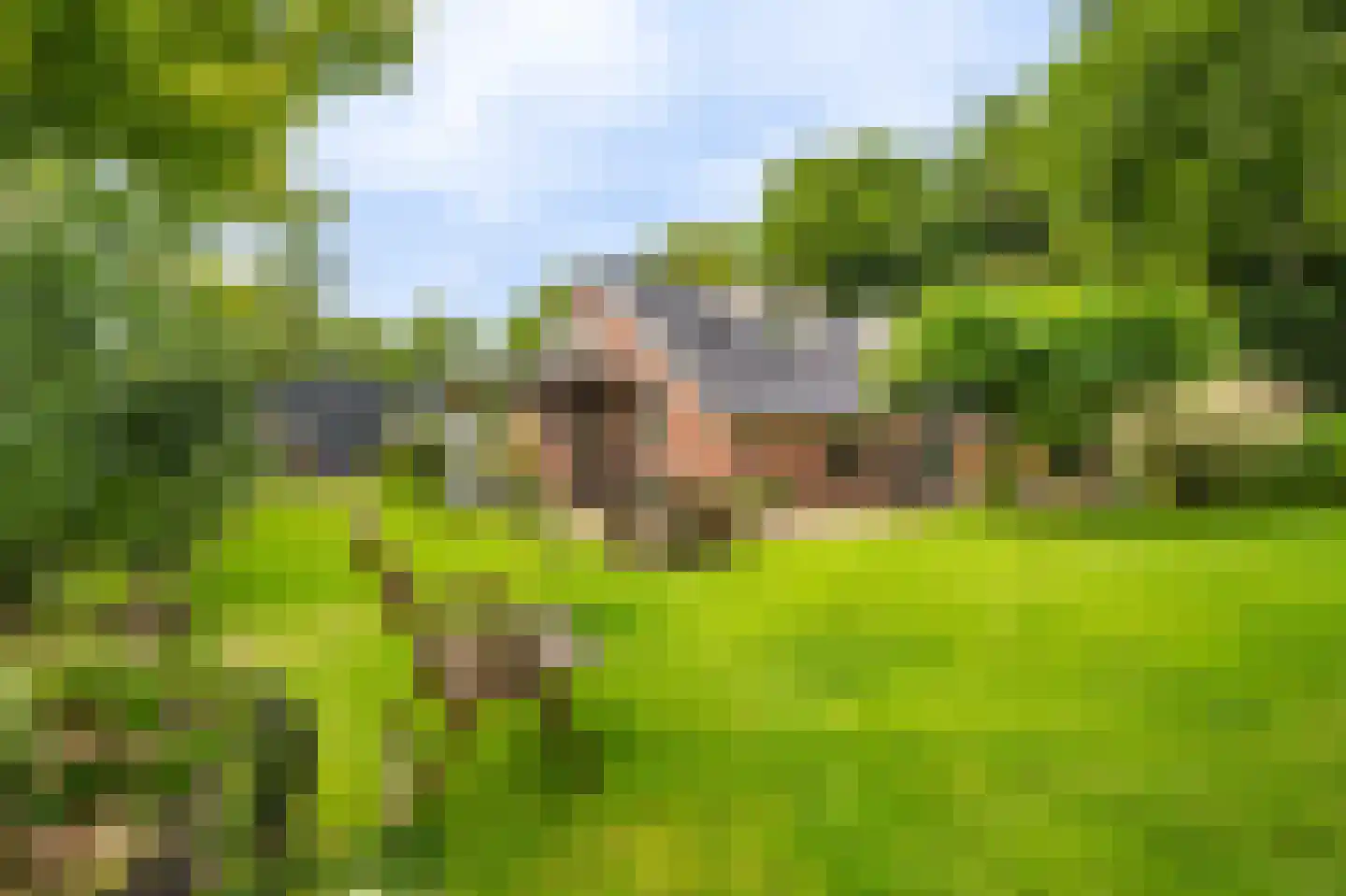 Oostlaan 2 Nieuw Beerta thumbnail 43