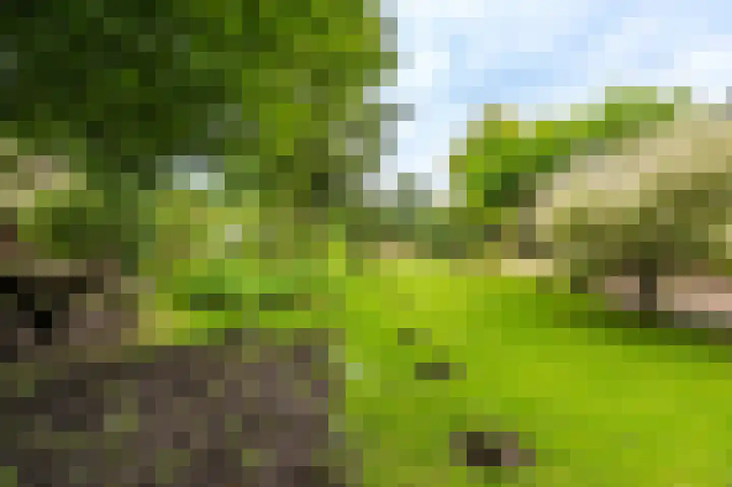 Oostlaan 2 Nieuw Beerta thumbnail 46