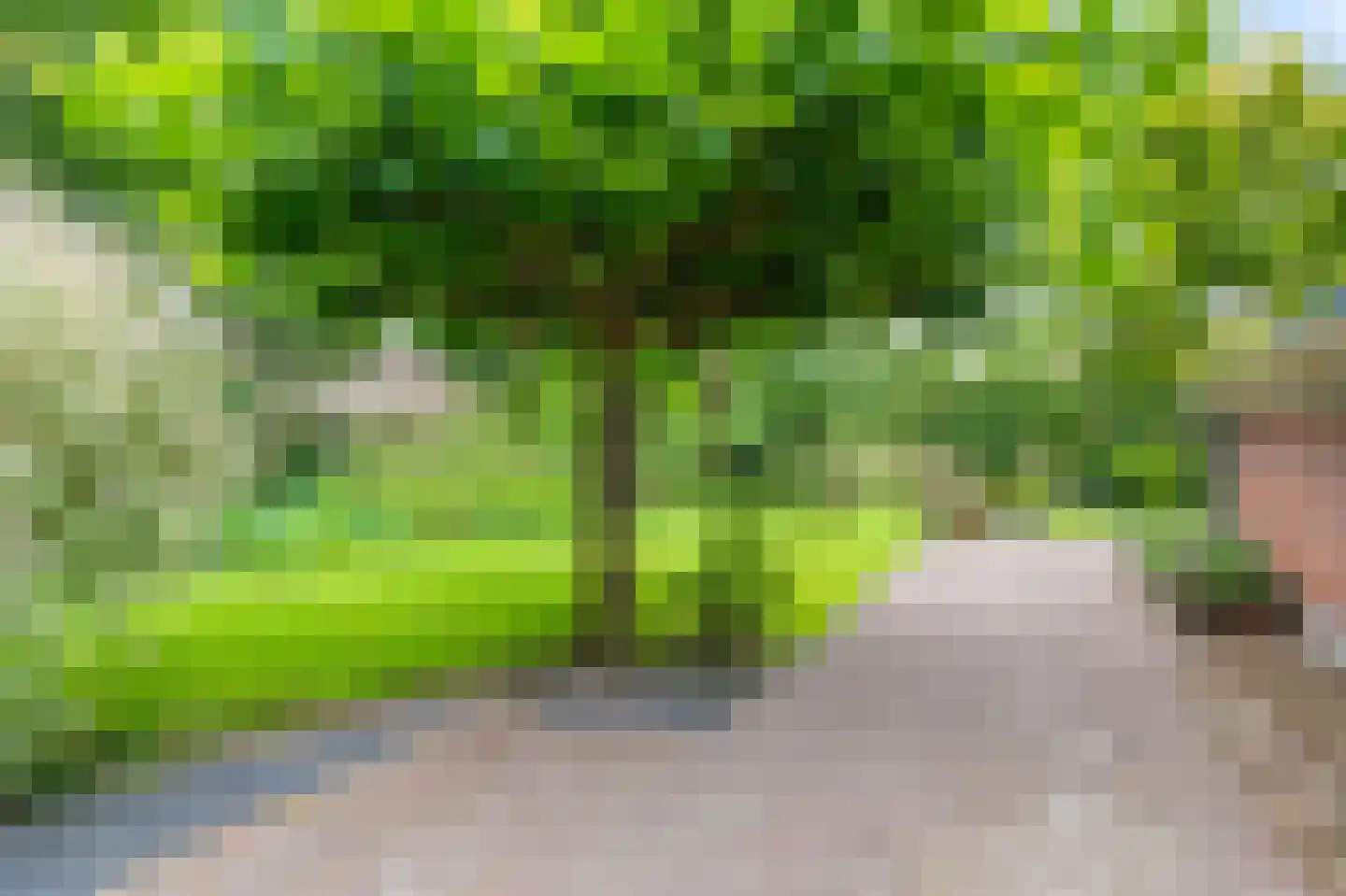 Oostlaan 2 Nieuw Beerta thumbnail 49