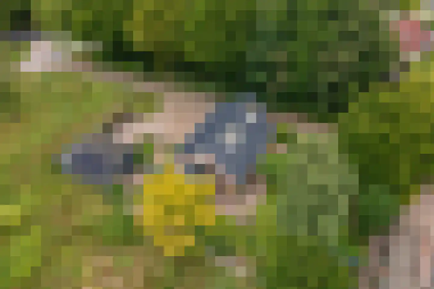 Oostlaan 2 Nieuw Beerta thumbnail 52