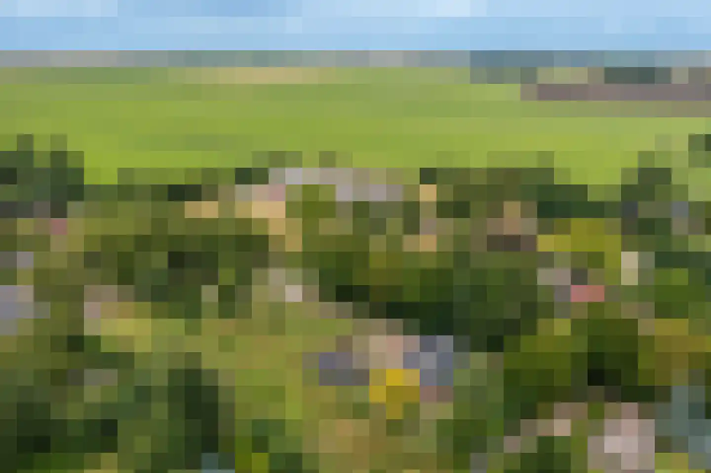 Oostlaan 2 Nieuw Beerta thumbnail 53