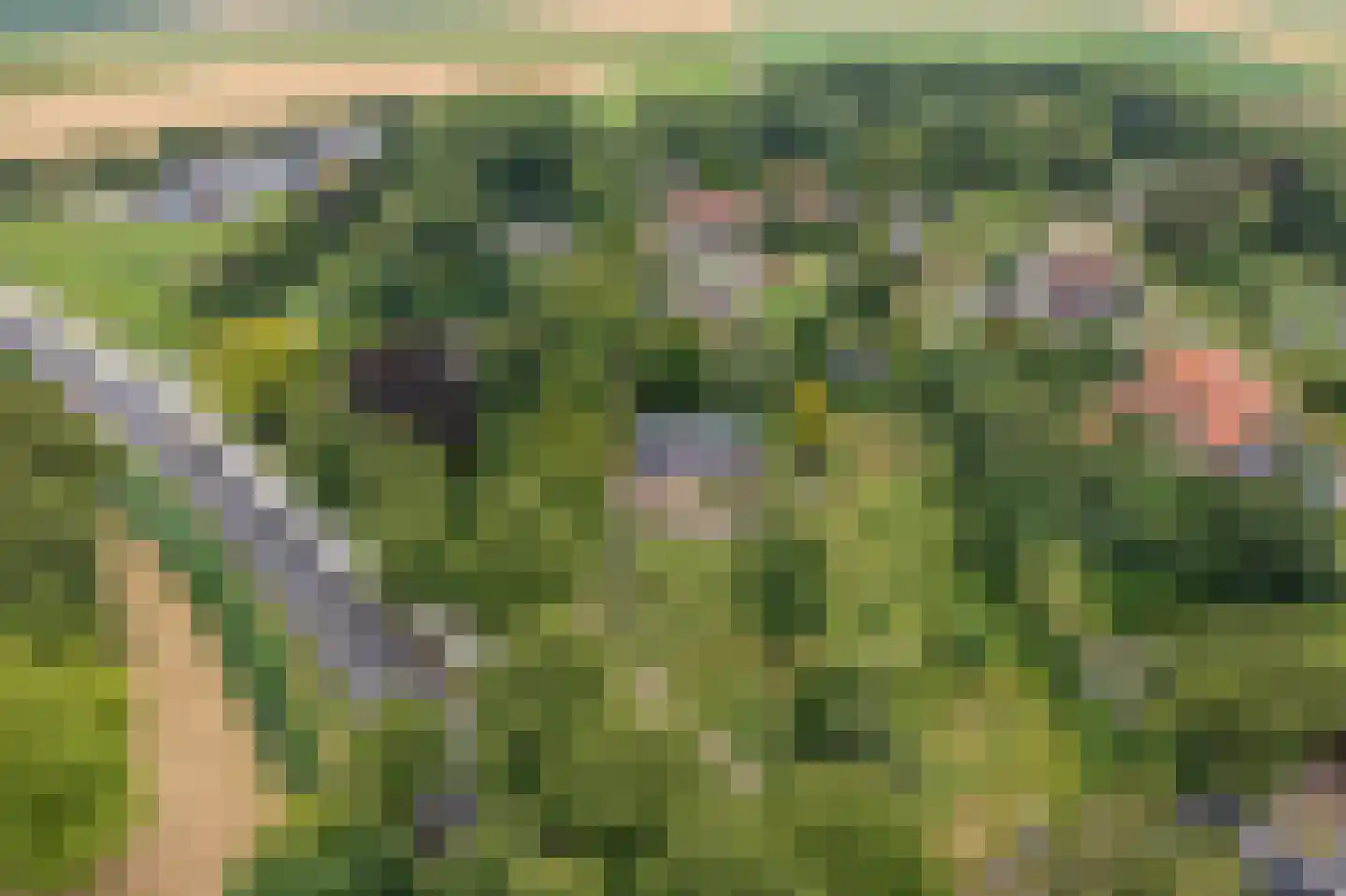 Oostlaan 2 Nieuw Beerta thumbnail 54