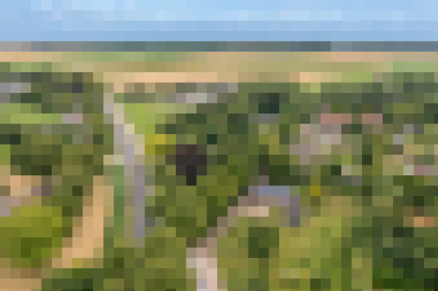 Oostlaan 2 Nieuw Beerta thumbnail 55