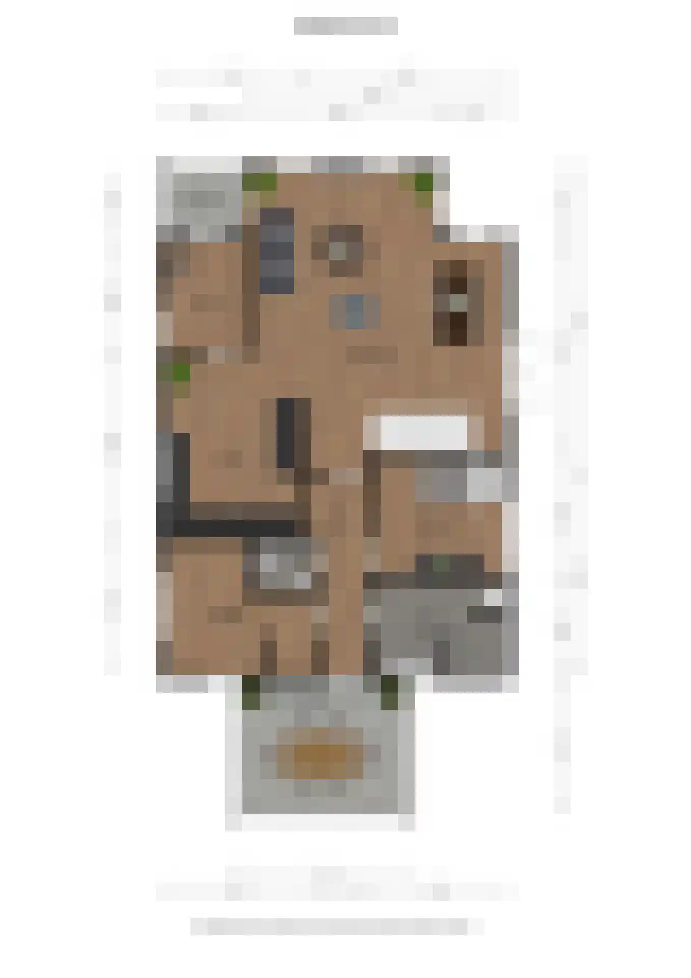 Oostlaan 2 Nieuw Beerta thumbnail 57