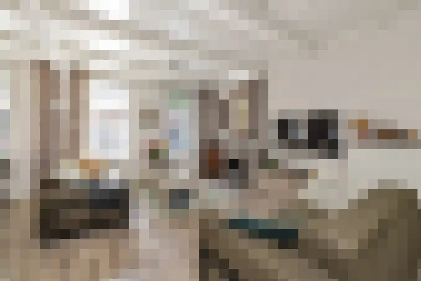 Oostlaan 30 a Pijnacker thumbnail 12