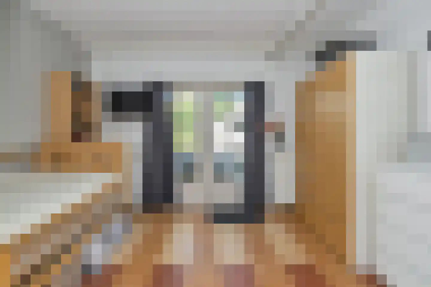 Oostlaan 30 a Pijnacker thumbnail 24