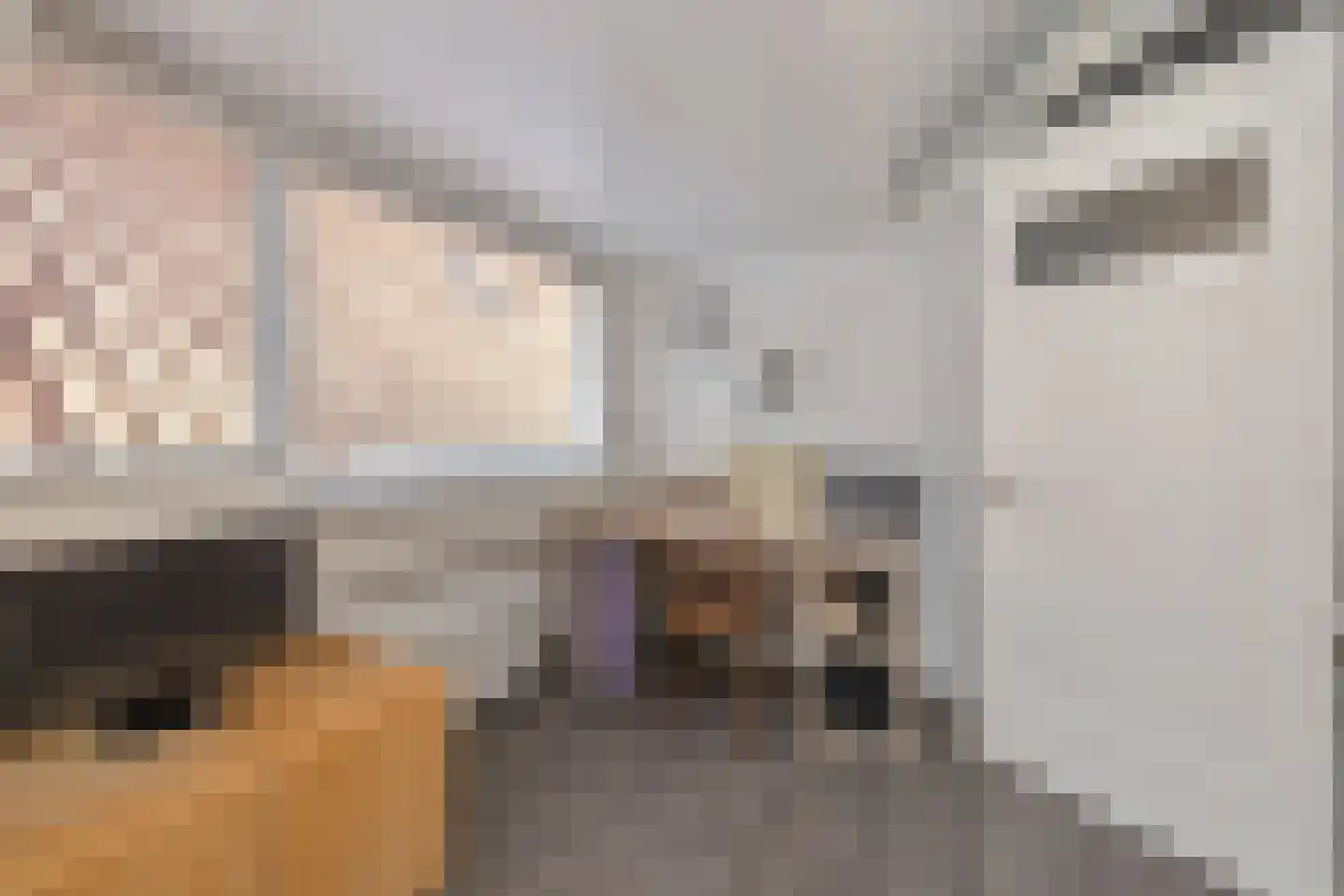 Oostlaan 30 a Pijnacker thumbnail 43