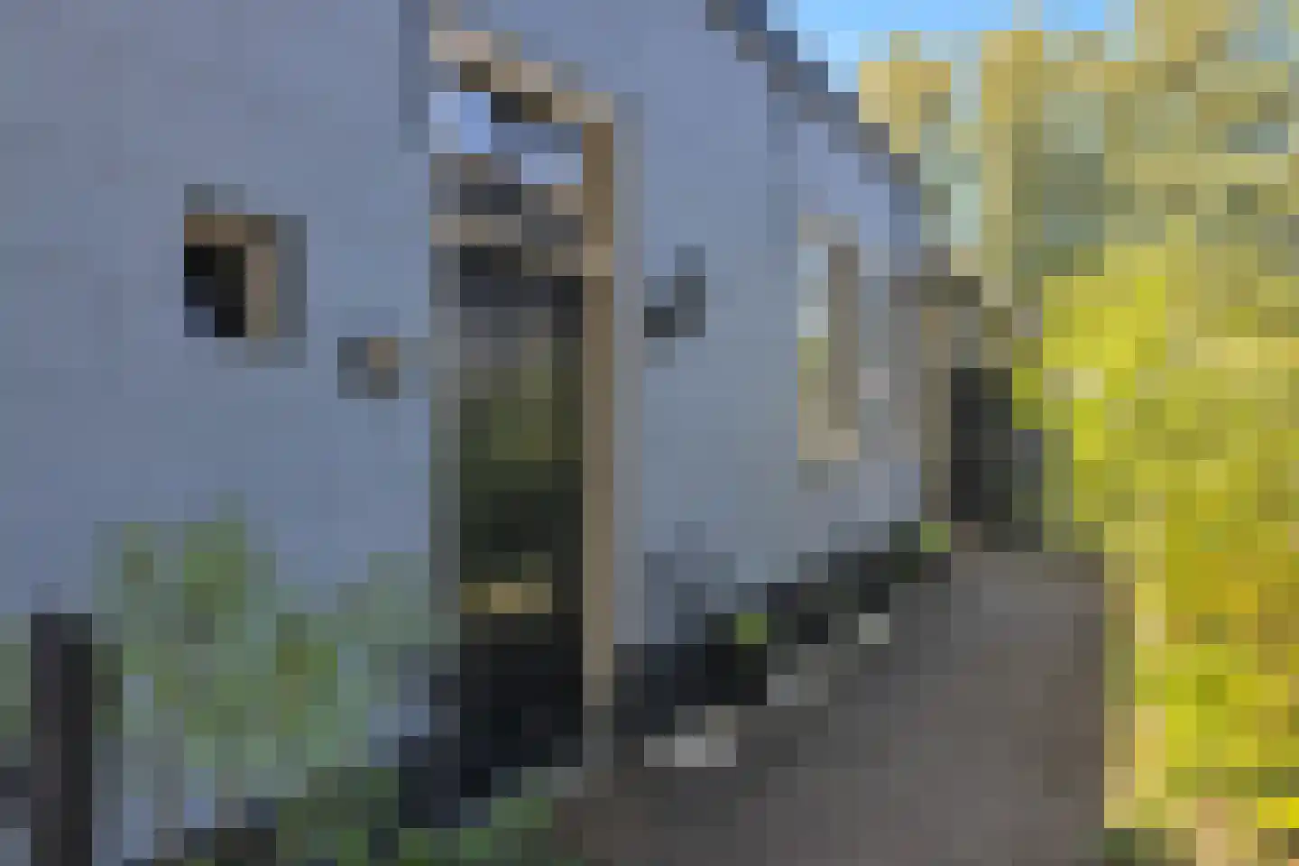 Oostlaan 30 a Pijnacker thumbnail 9