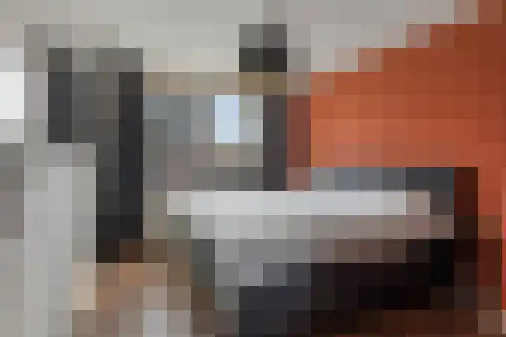 Oostlaan 36 Veendam thumbnail 26