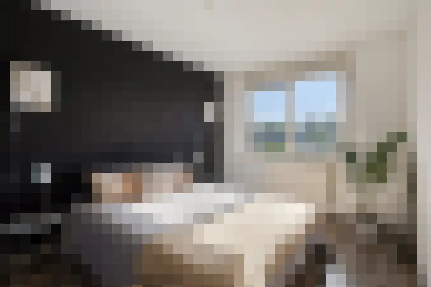 Oostlaan 41 Veendam thumbnail 5