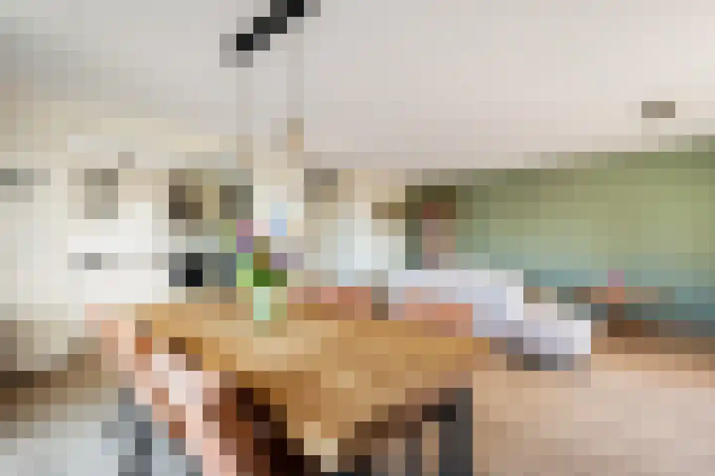Oostlaan 55 Pijnacker thumbnail 11