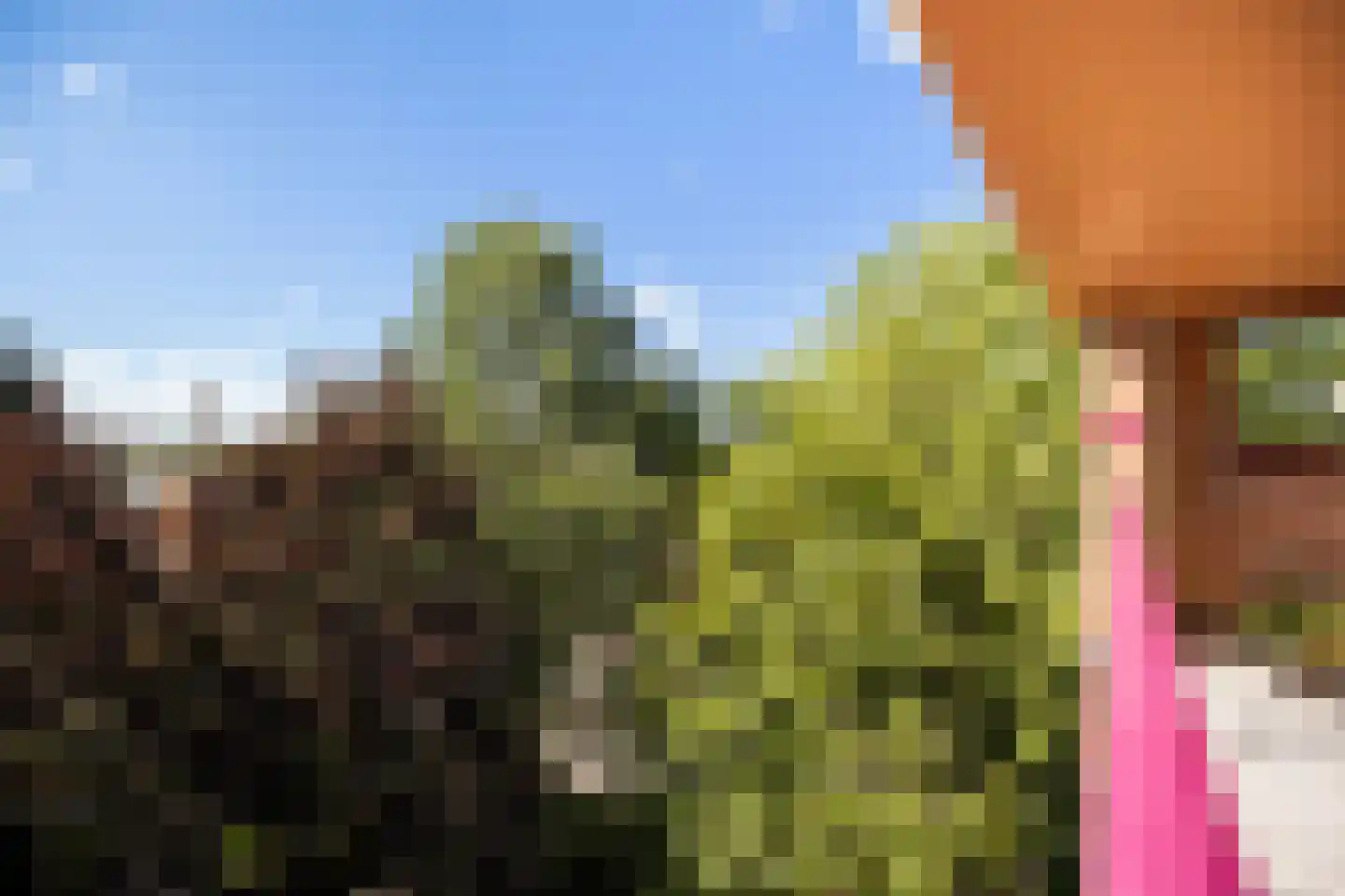 Oostlaan 55 Pijnacker thumbnail 16