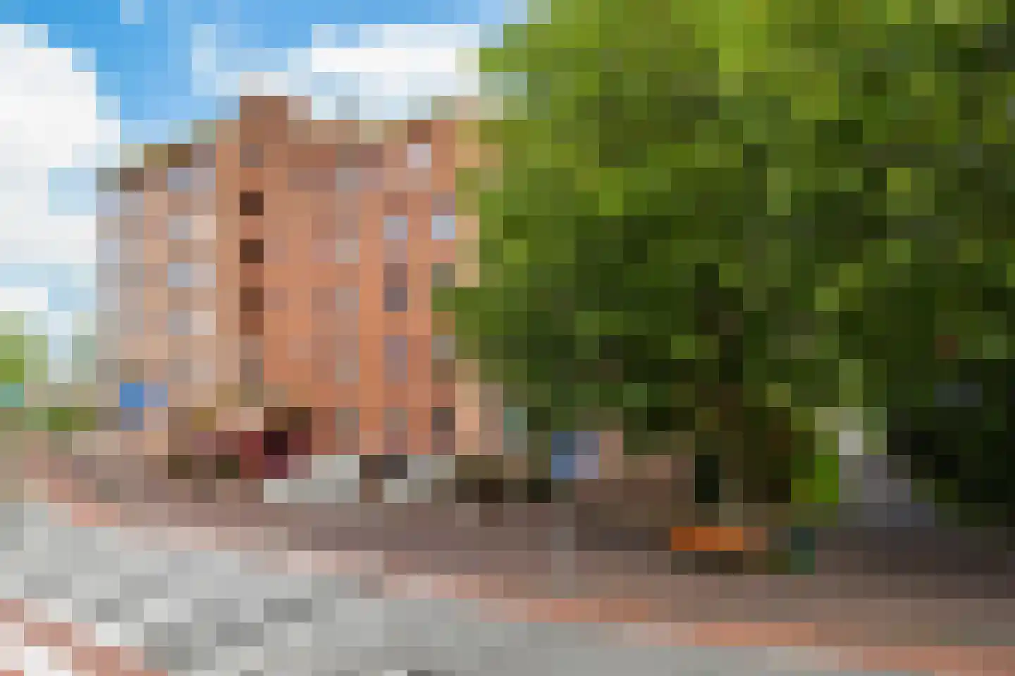 Oostlaan 55 Pijnacker thumbnail 31