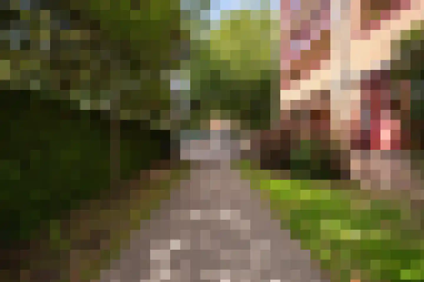 Oostlaan 55 Pijnacker thumbnail 34