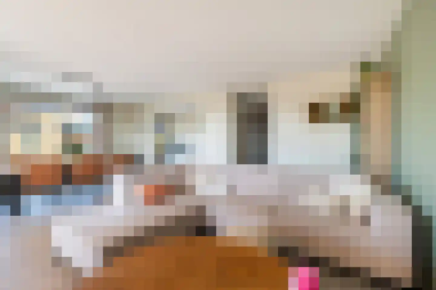 Oostlaan 55 Pijnacker thumbnail 8