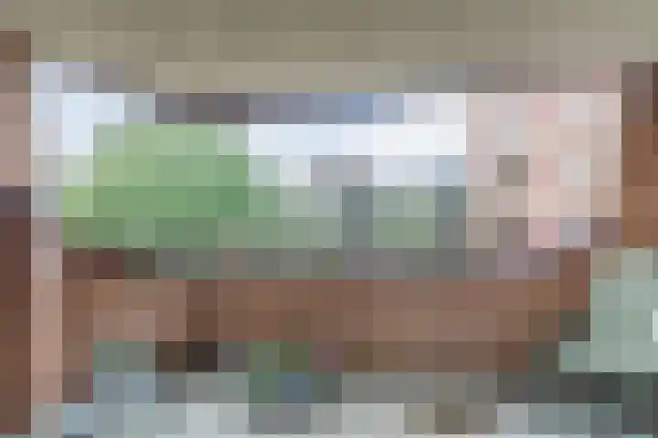 Oostlaan 67 Pijnacker foto 2