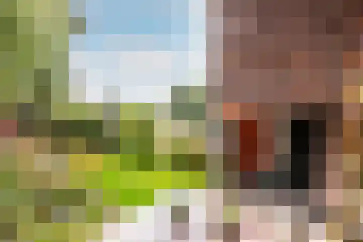 Oostlaan 67 Pijnacker thumbnail 27