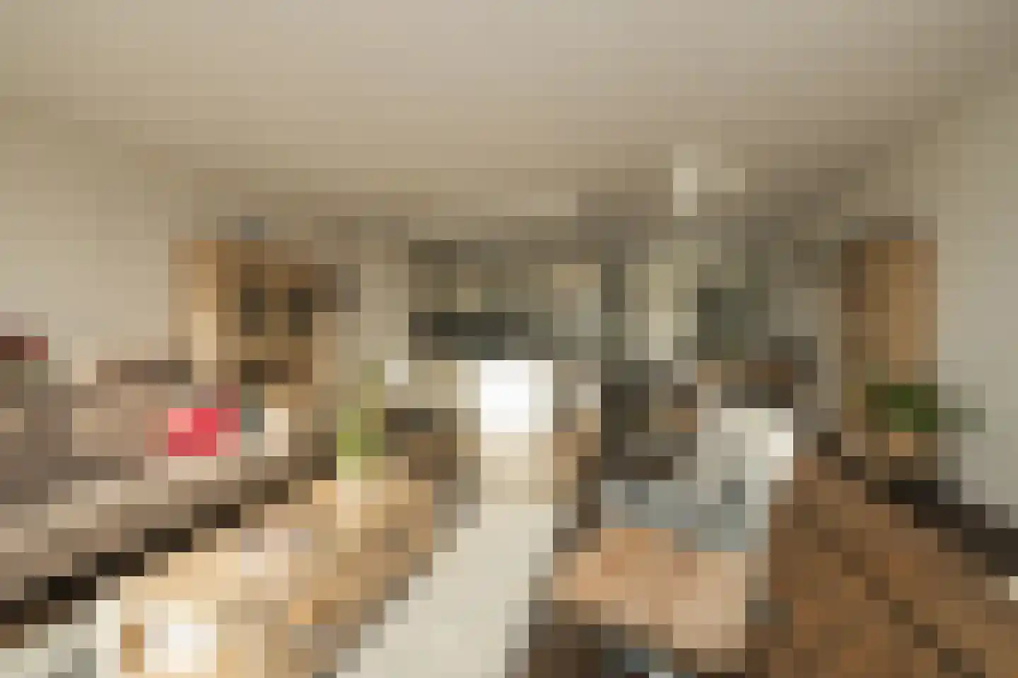 Oostlaan 67 Pijnacker thumbnail 28