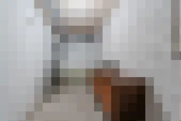 Oostlaan 67 Pijnacker thumbnail 35