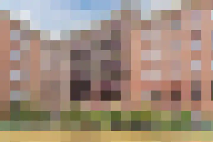 Oostlaan 67 Pijnacker thumbnail 37