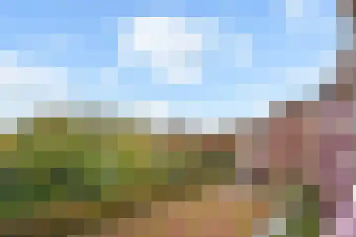 Oostlaan 75 Pijnacker thumbnail 22