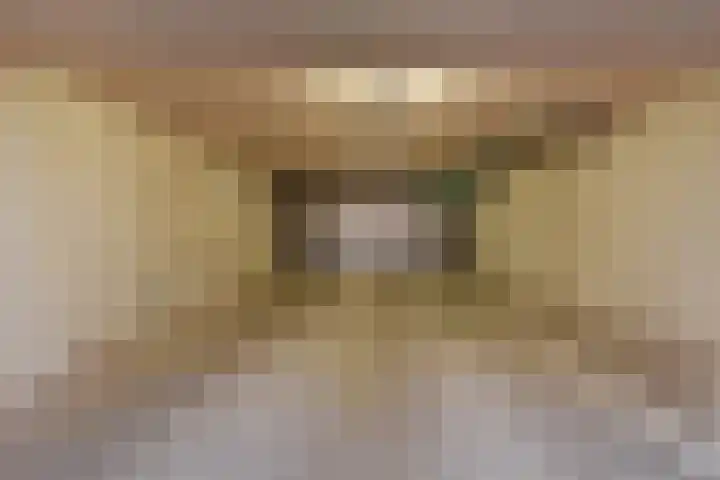 Oostlaan 75 Pijnacker thumbnail 47