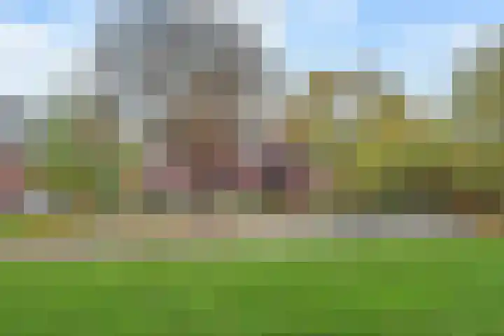 Oostlaan 75 Pijnacker thumbnail 54
