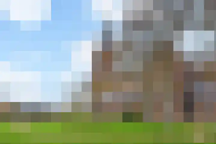 Oostlaan 75 Pijnacker thumbnail 56