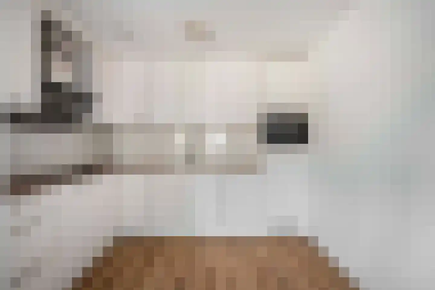 Oostlaan 81 Pijnacker thumbnail 11