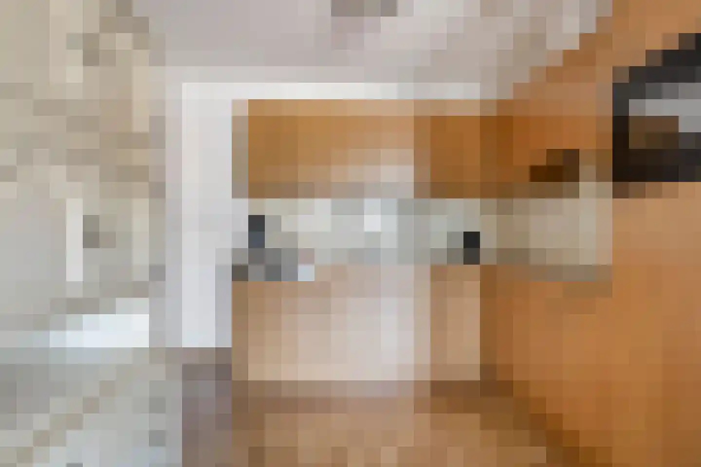 Oostlaan 92 Pijnacker thumbnail 10